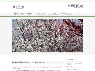 まるきたはなもも園(日本、〒405-0057山梨県笛吹市一宮町下矢作３９９−１)
