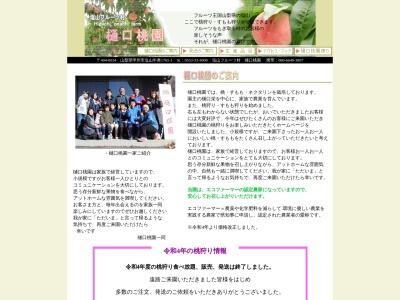 樋口桃園(〒404-0034,１７６５−１塩山牛奥甲州市山梨県404-0034日本)