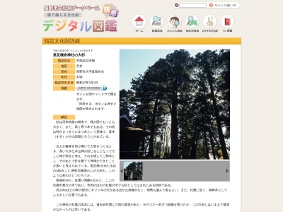 皇足穂命神社の大杉(日本、〒380-0882 長野県長野市富田380)