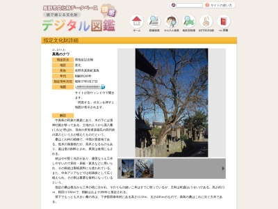 真島のクワ(日本、〒381-2204 長野県長野市真島町真島628)
