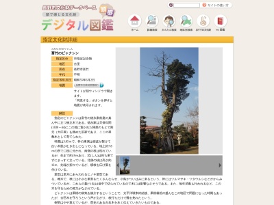 富竹のビャクシン(日本、〒381-0006長野県長野市富竹635)