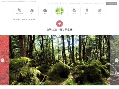 苔の森(日本、〒384-0704長野県南佐久郡佐久穂町八郡)