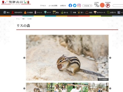 リスの森飛騨山野草自然庭園(日本、〒506-0034岐阜県高山市松倉町2351−7)