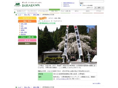 ランキング第2位はクチコミ数「0件」、評価「0.00」で「小野津島神社の天王桜」