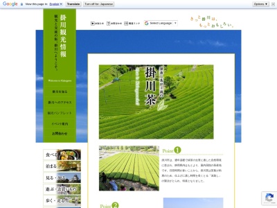 掛川茶種植地(日本、〒436-0033静岡県掛川市篠場)