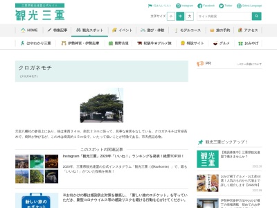 クロガネモチ(日本、〒511-0944三重県桑名市芳ケ崎1013)