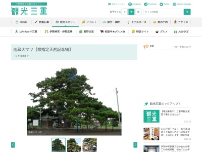 地蔵大マツ【県指定天然記念物】(日本、〒513-0816三重県鈴鹿市南玉垣町５５３６−１)