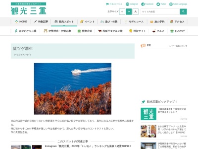紅ツゲ群生(日本、〒517-0004三重県鳥羽市菅島町)