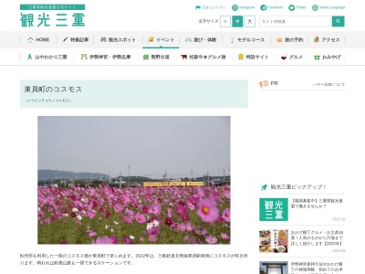 東員町のコスモス畑(日本、〒511-0251三重県員弁郡東員町北山田１９５３−１)