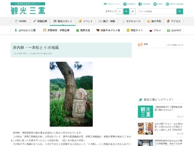 井内林・一本松とイボ地蔵(日本、〒519-2186三重県多気郡多気町井内林３６１)