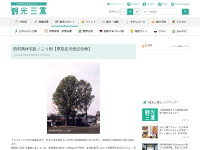 西村廣休宅趾ノふう樹【県指定天然記念物】(日本、〒519-2181三重県多気郡多気町相可)