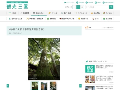 大杉谷の大杉【県指定天然記念物】(日本、〒519-2634三重県多気郡大台町大杉１５９)