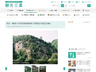滝谷・檜原の川岸岩壁植物群落【県指定天然記念物】(日本、〒519-2525三重県多気郡大台町滝谷)