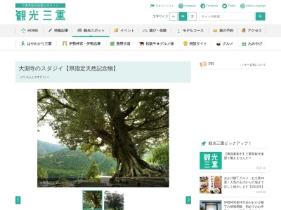 大淵寺のスダジイ【県指定天然記念物】(日本、〒519-2633三重県多気郡大台町久豆２９５)
