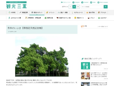 市木のいぶき【県指定天然記念物】(日本、〒519-5203三重県南牟婁郡御浜町下市木)