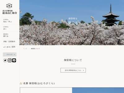 御室桜(日本、〒616-8092京都府京都市右京区御室大内３３)