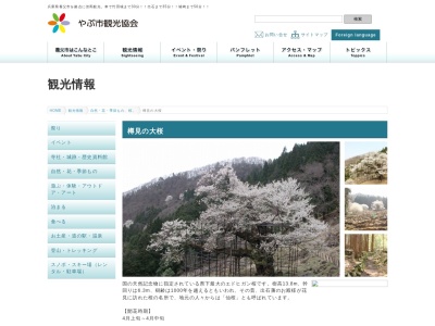 樽見の大桜(日本、〒667-0302兵庫県養父市大屋町樽見)