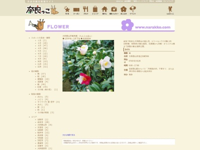 椿寿庵(日本、〒639-1027 奈良県大和郡山市池之内町556 椿寿庵)