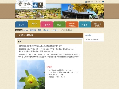 はまぼう群生地(日本、〒644-0025 和歌山県御坊市塩屋町北塩屋)