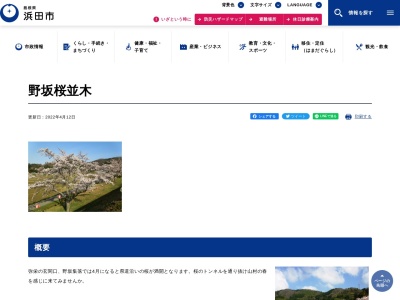 野坂桜並木(日本、〒697-1121島根県浜田市弥栄町野坂)