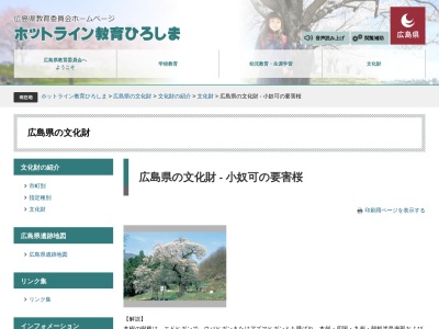 小奴可の要害桜(日本、〒729-5501広島県庄原市東城町)