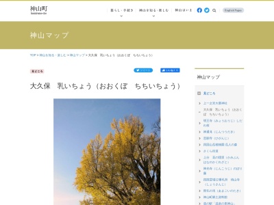 大久保の乳イチョウ(日本、〒771-3310徳島県名西郡神山町神領字西大久保)