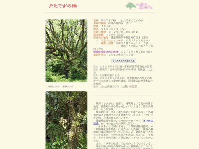 戸たてずの楠(日本、〒798-4401愛媛県南宇和郡愛南町正木1463)