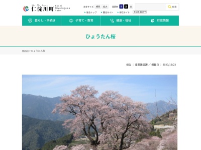 ひょうたん桜(日本、〒781-1505高知県吾川郡仁淀川町桜)