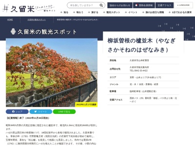 柳坂曽根の櫨並木(日本、〒839-0827福岡県久留米市山本町豊田1613−8)