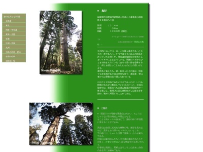 英彦山の鬼杉(スギの巨樹)(日本、〒824-0721福岡県田川郡添田町英彦山)