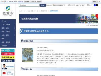 佐賀城跡の楠群(日本、〒840-0041佐賀県佐賀市城内1丁目9−15)