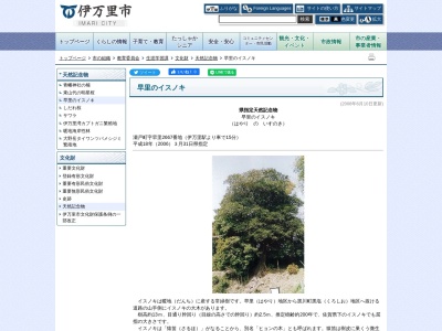 県指定天然記念物 早里のイスノキ(日本、〒848-0043佐賀県伊万里市瀬戸町早里字2667番地)