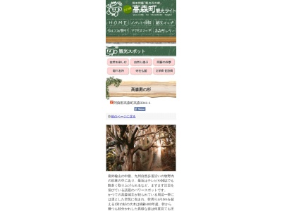 高森殿の杉(日本、〒869-1602熊本県阿蘇郡高森町高森)