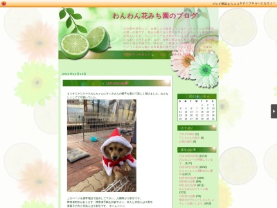 わんわん花みち園(日本、〒871-0101大分県中津市三光森山63)