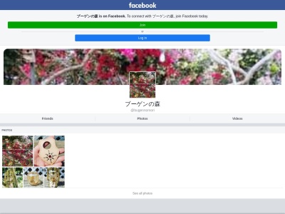 ブーゲンの森(日本、〒849-5122 佐賀県唐津市浜玉町横田下 浜玉町横田下695−3)