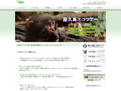ynac(日本、〒891-4205鹿児島県熊毛郡屋久島町宮之浦368−21)