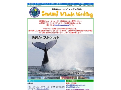 座間味村ホエールウォッチング協会(日本、〒901-3402沖縄県島尻郡座間味村座間味地先1)