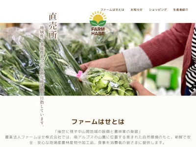 道の駅 南アルプスむら長谷(日本、〒396-0401 長野県伊那市長谷非持1400)