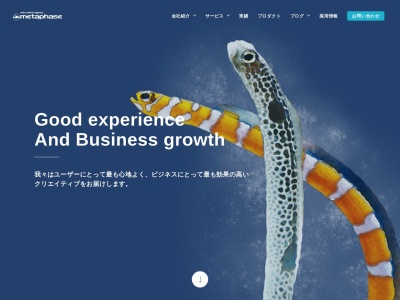 株式会社メタフェイズ(日本、〒160-0022東京都新宿区新宿5丁目17−5ラウンドクロス新宿5丁目ビル6F)
