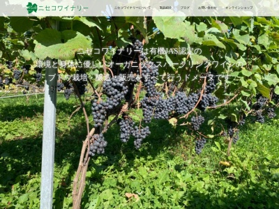 ニセコワイナリー(日本、〒048-1542 北海道虻田郡ニセコ町近藤194−8)