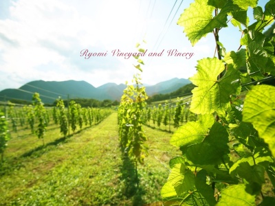 了美 Vineyard and Winery(日本、〒981-3625宮城県黒川郡大和町吉田旦ノ原36)
