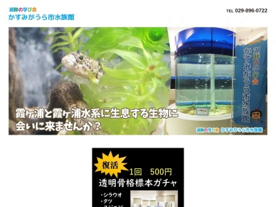 ランキング第1位はクチコミ数「843件」、評価「3.80」で「かすみがうら市 水族館」