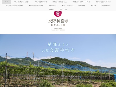 田中ぶどう農園ぶどう直売所(日本、〒576-0062 大阪府交野市神宮寺1丁目40 神宮寺1-40)