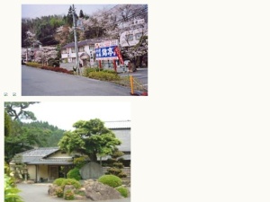 宿