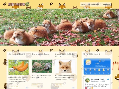 北きつね牧場(日本、〒091-0157 北海道北見市留辺蘂町花丘52−1)
