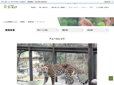 ヒョウ舎(〒791-2120, 宮内 砥部町 伊予郡 愛媛県 791-2120 日本)